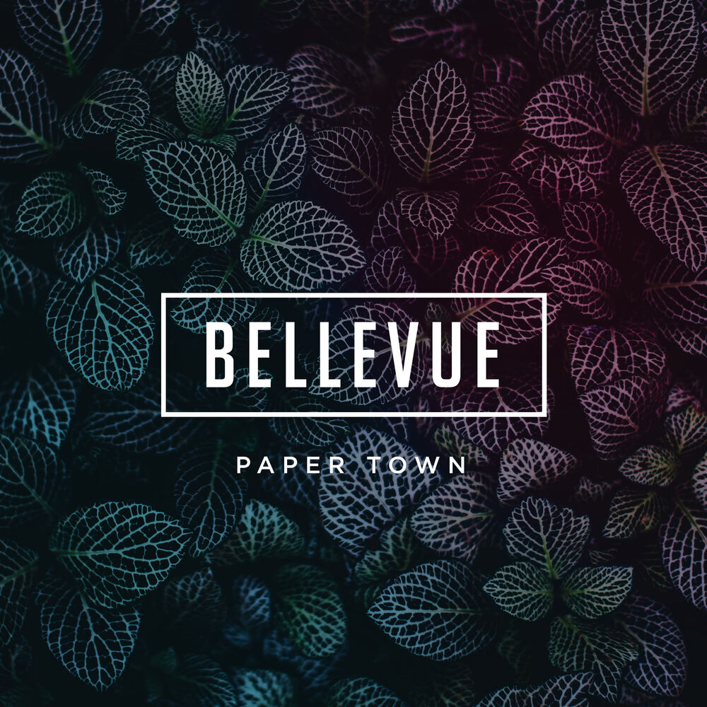 Picture of Paper Town