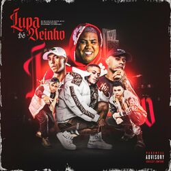 Cover of Lupa de Veinho