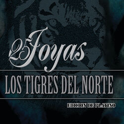 Cover of 25 Joyas