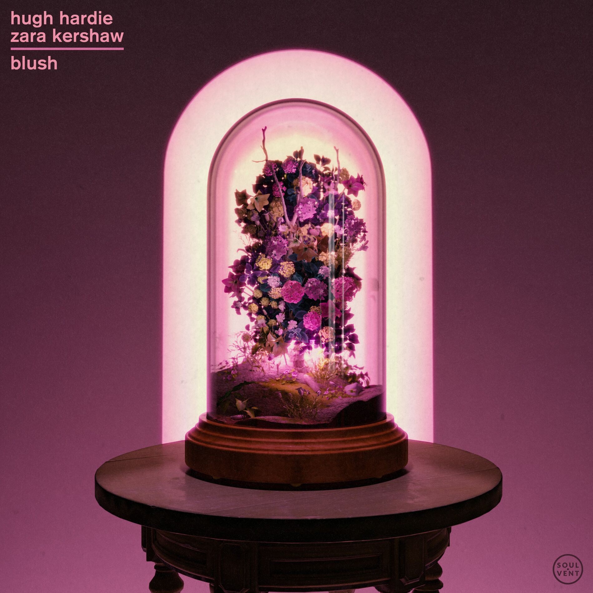 Album cover of Blush