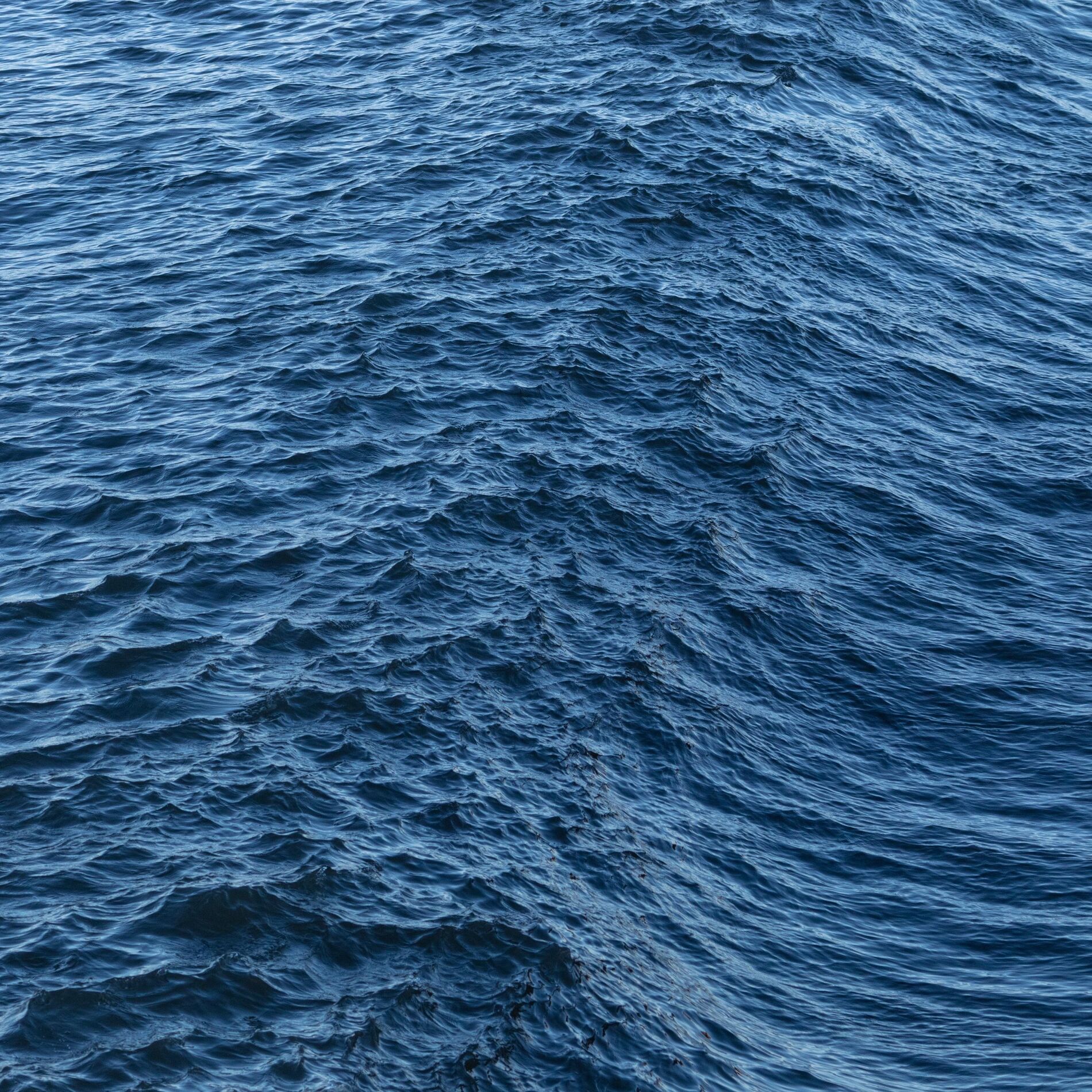 Album cover of Preludio
