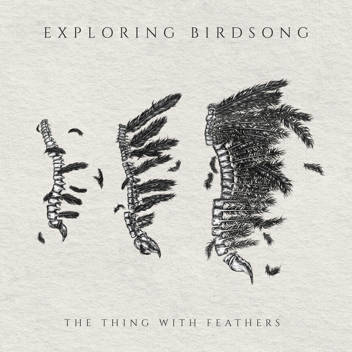 Album cover of The Thing with Feathers