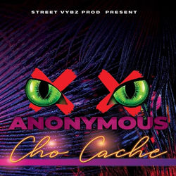 Descargar Cho caché - Anonymous Gyal's MP3