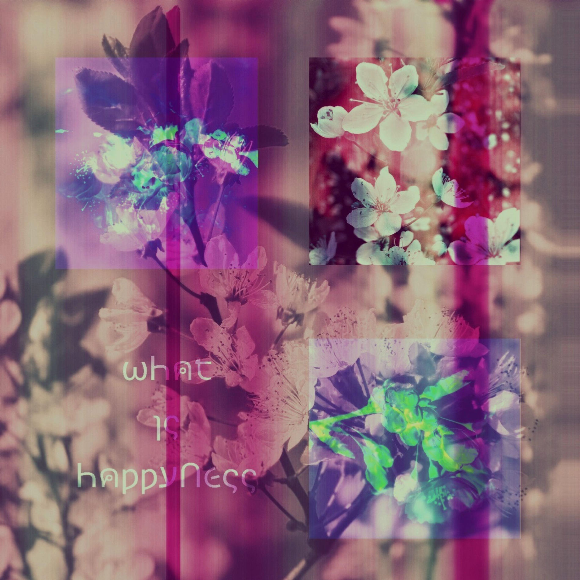 Album cover of What Is Happyness (feat. Levi.Sct)