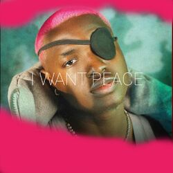Cover of I Want Peace