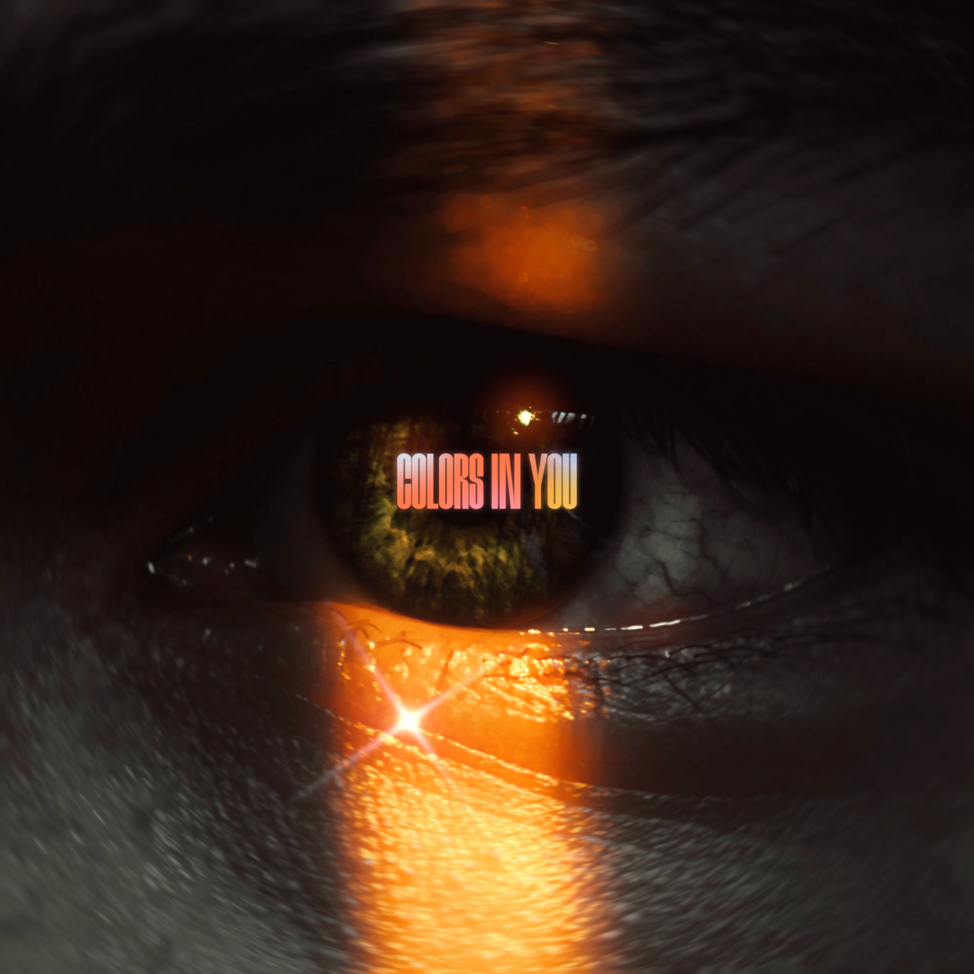 Album cover of Colors in You