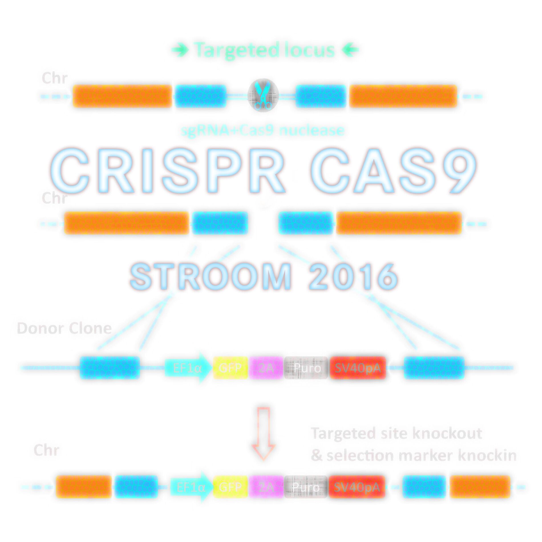 Album cover of Crispr CAS-9