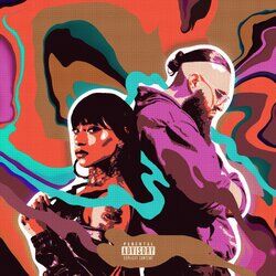 Cover of Never Question