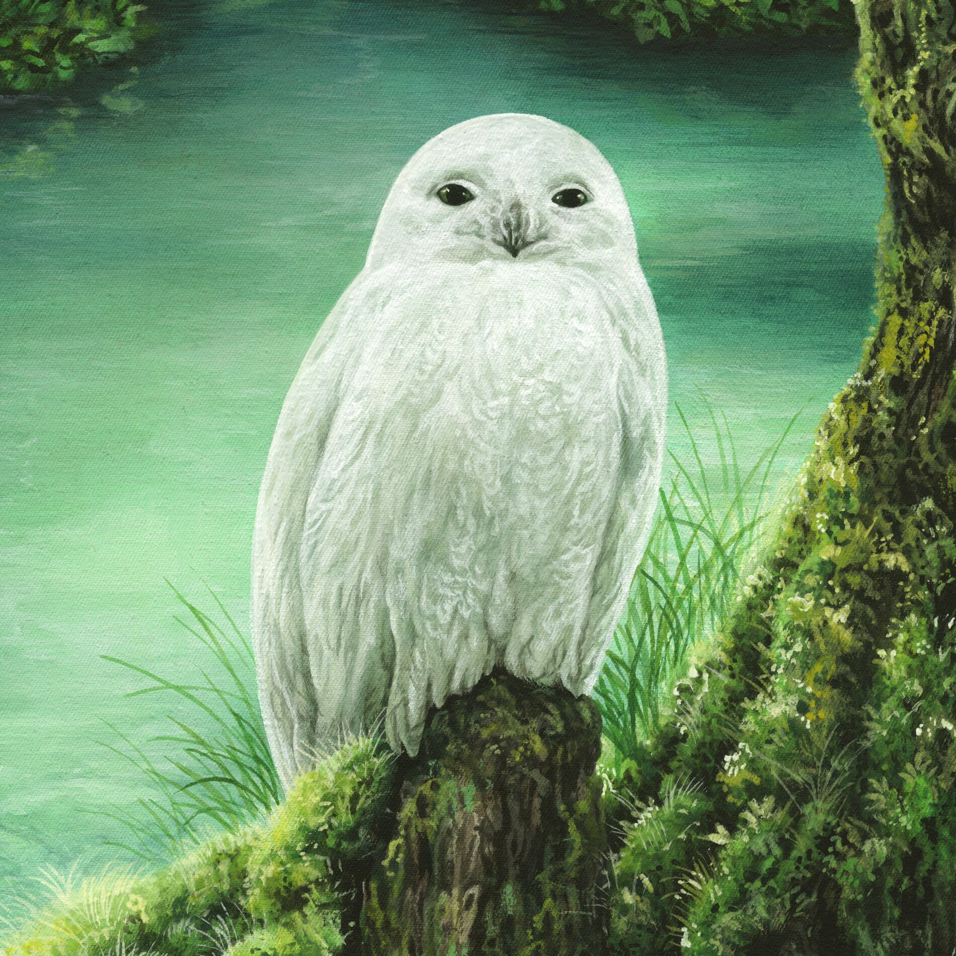 Album cover of Whiite Owl