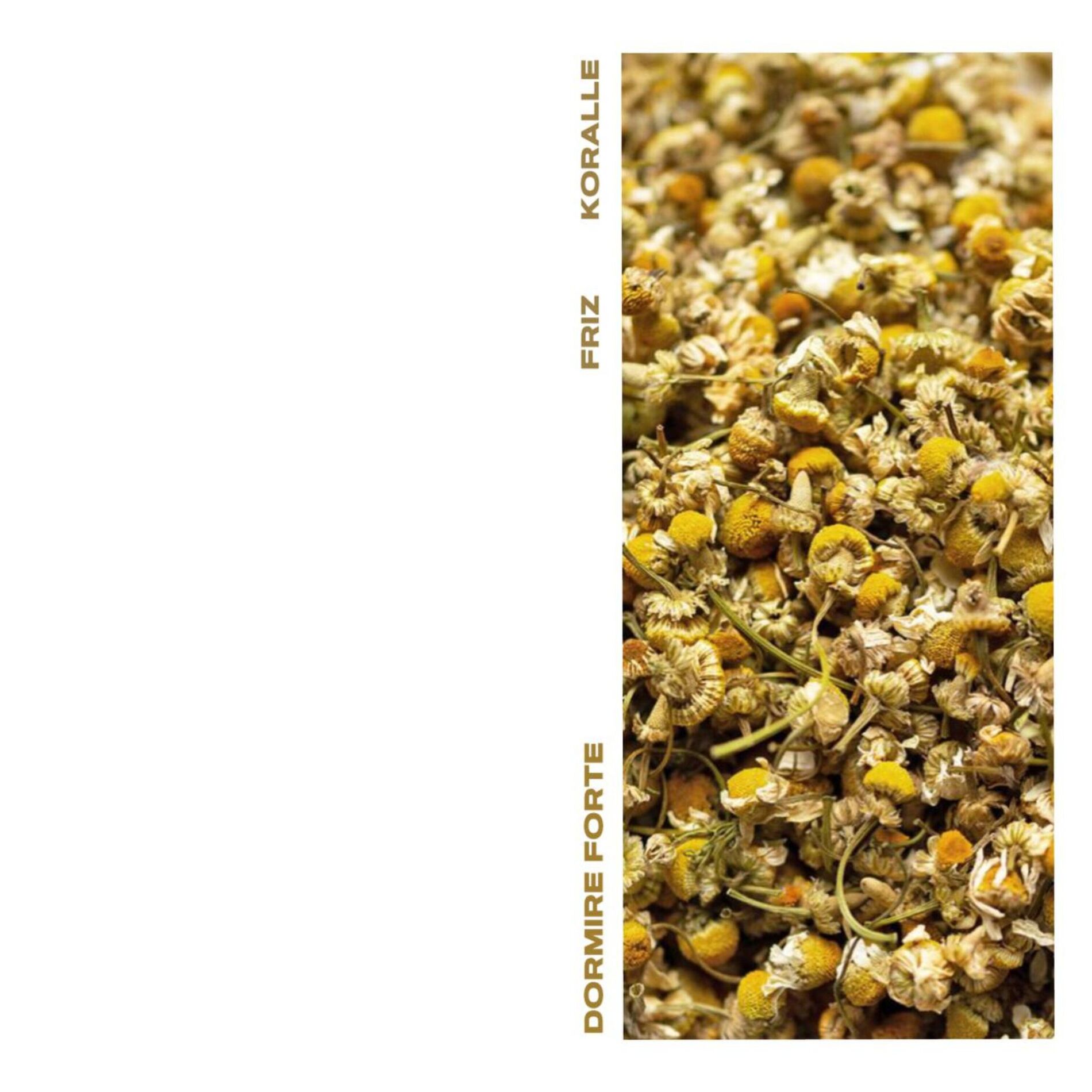 Album cover of Dormire forte