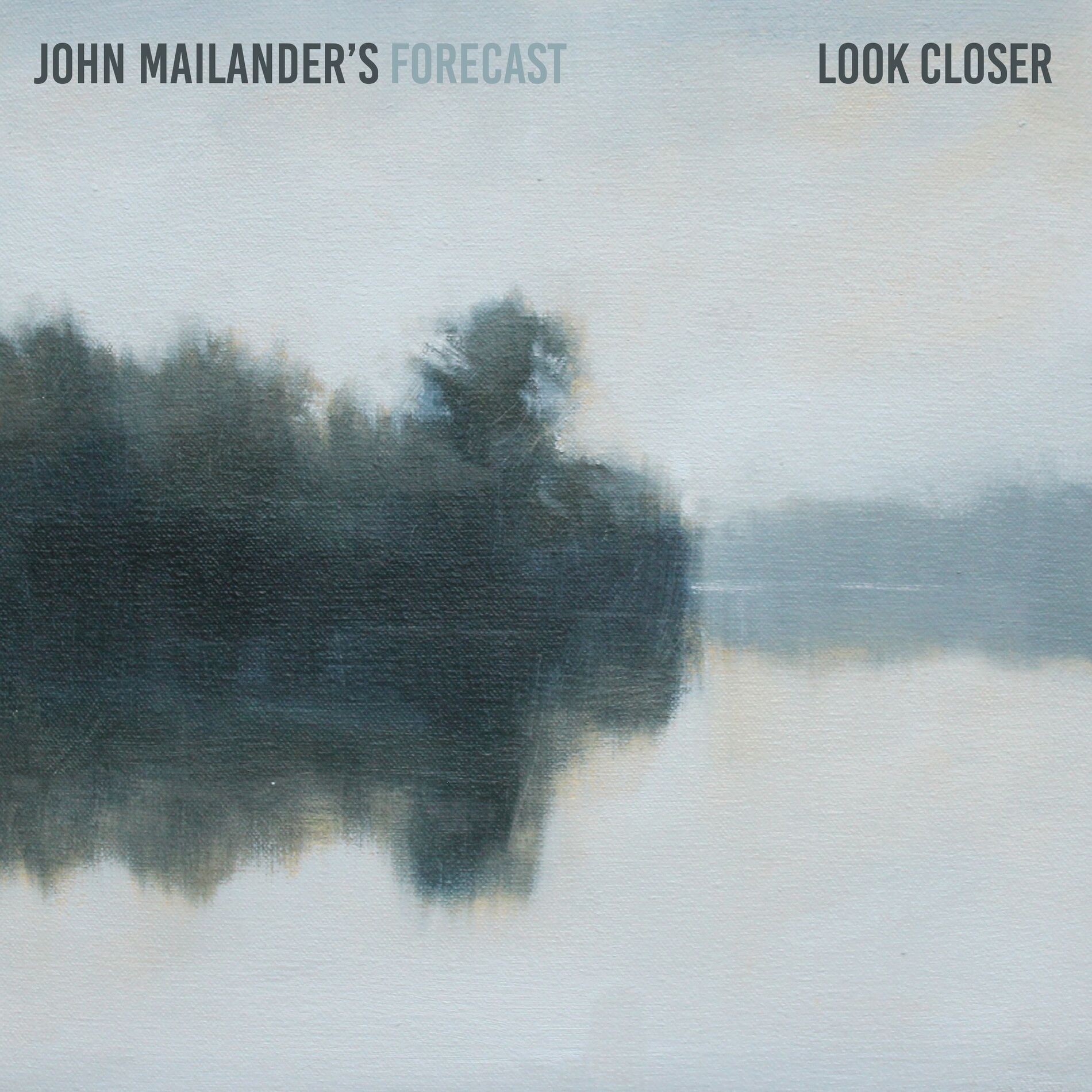 Album cover of Look Closer