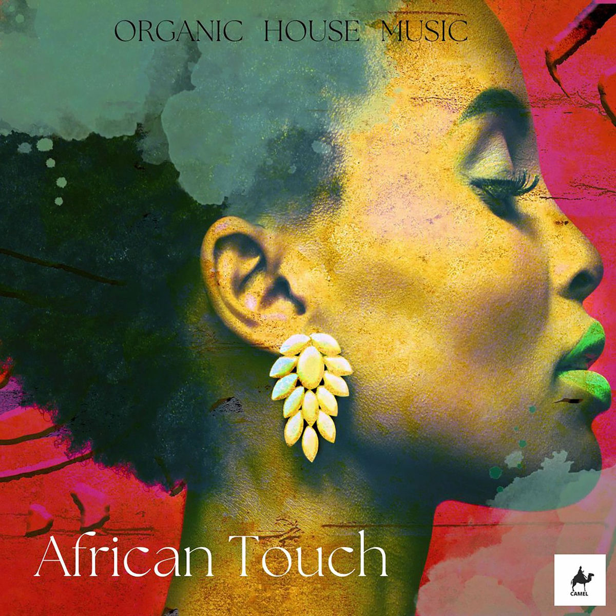 Album picture of African Touch