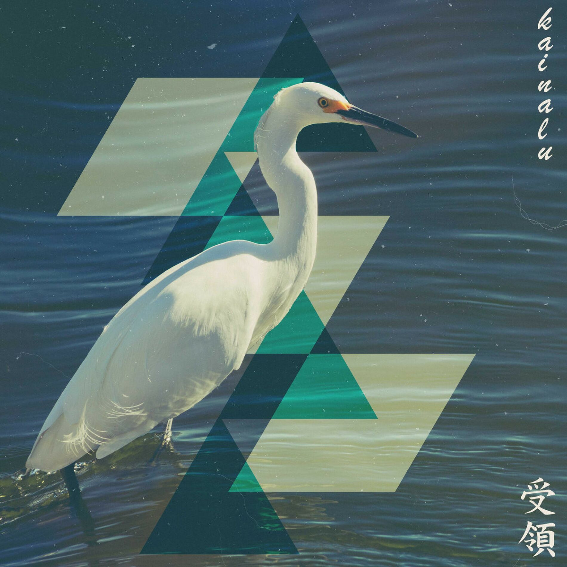 Album cover of Folds Like Origami