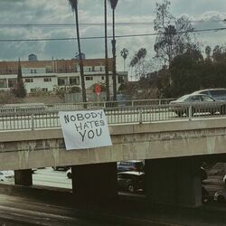 Cover of Nobody Hates You
