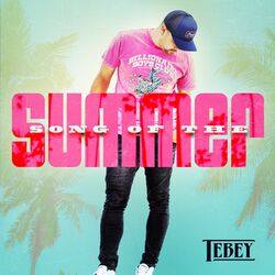 Cover of Song of the Summer