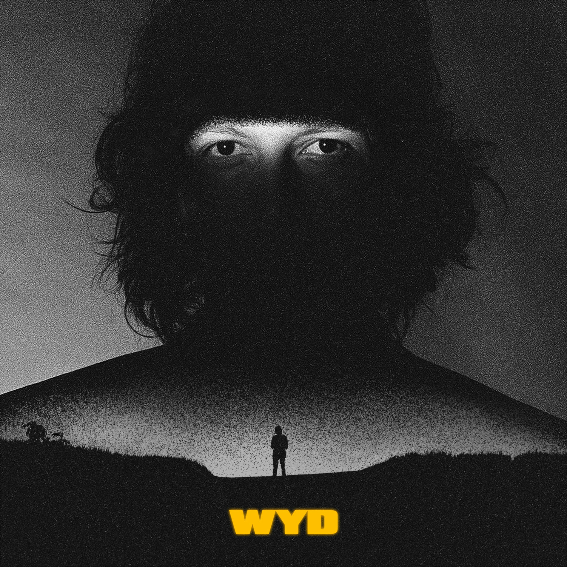 Album cover of wyd