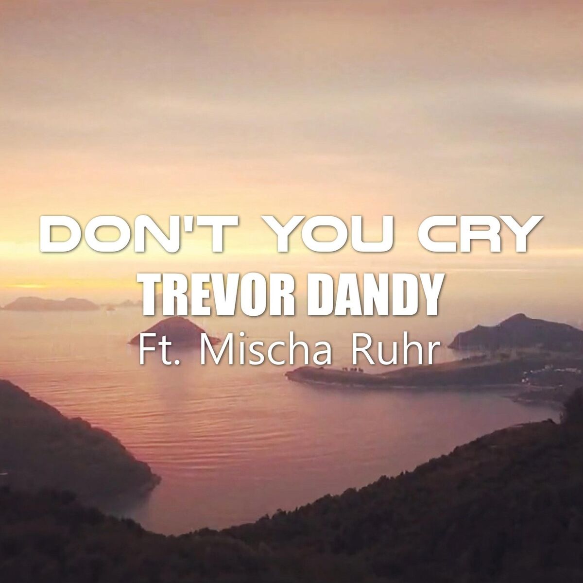 Album cover of Don't You Cry