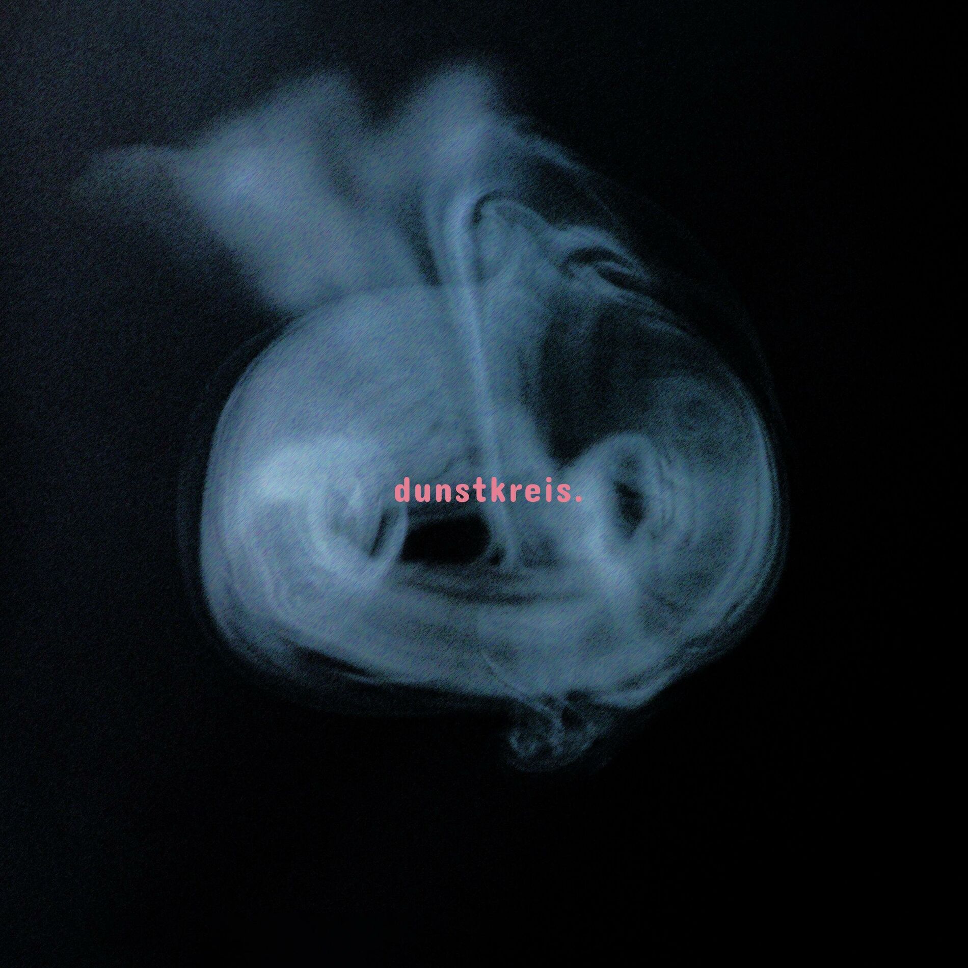 Album cover of DUNSTKREIS.