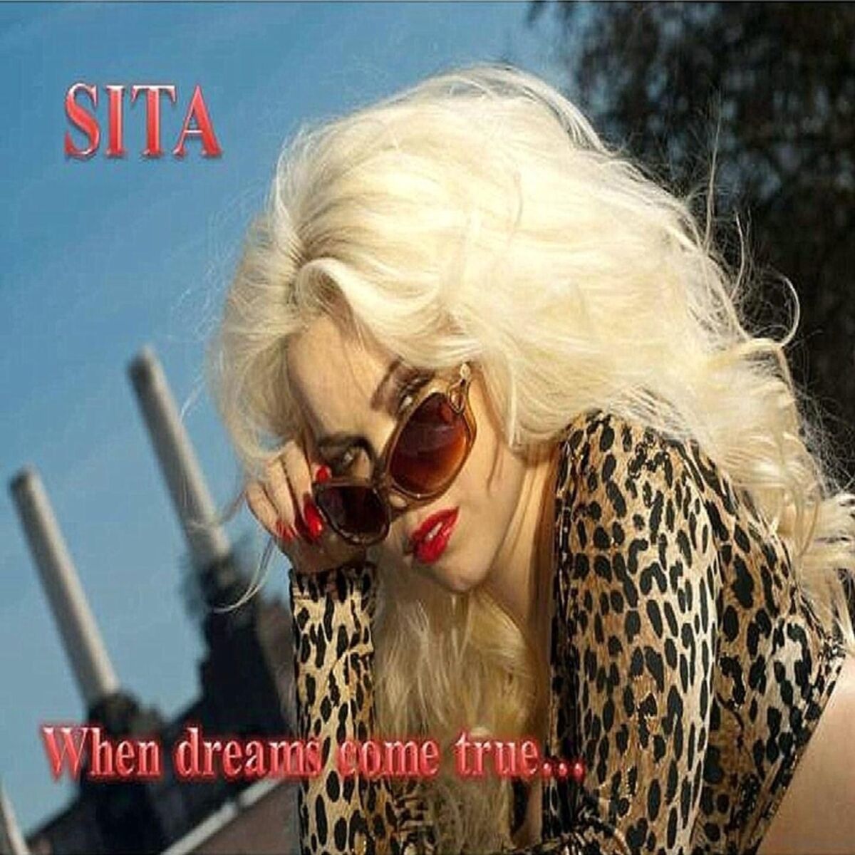 Album cover of When Dreams Come True