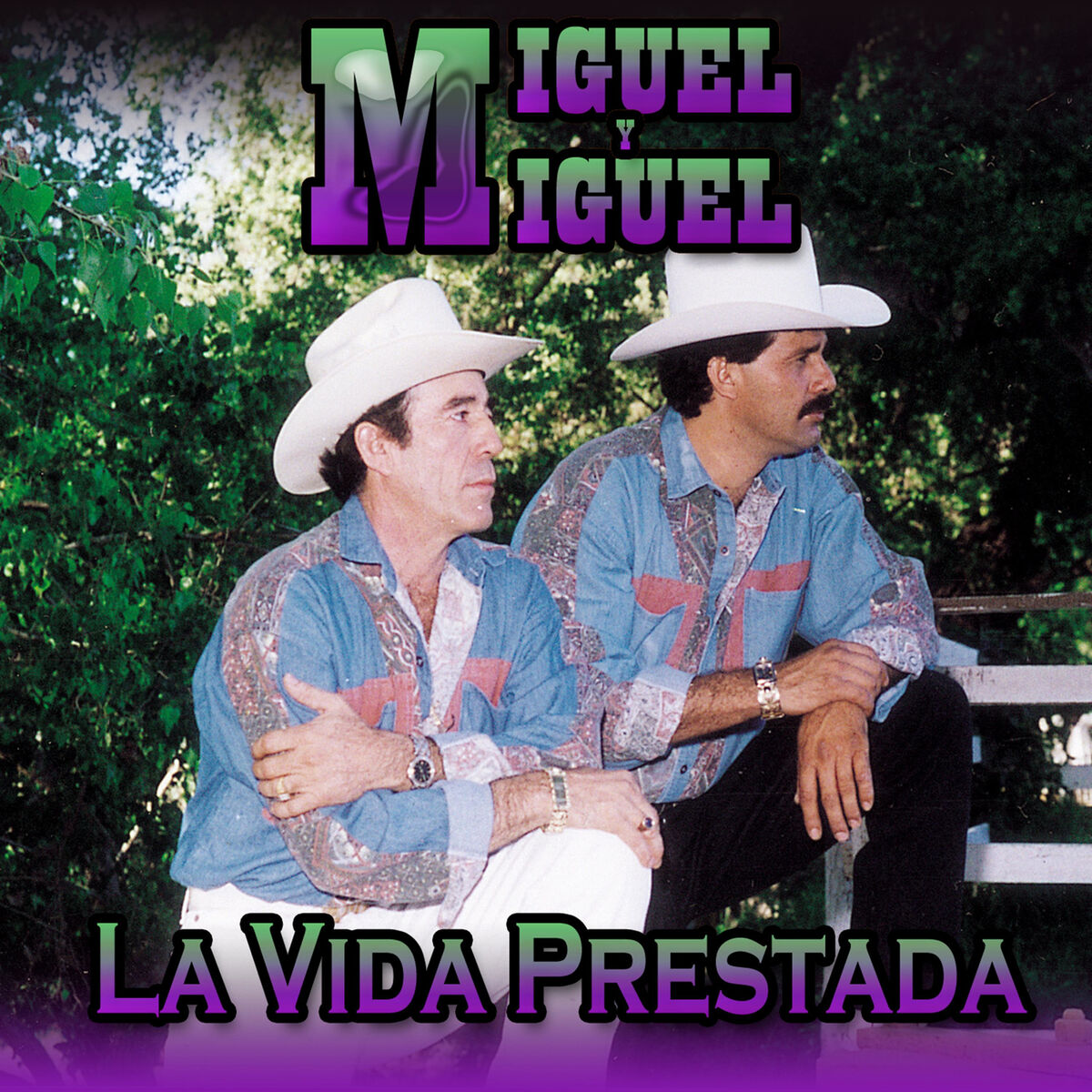 Album cover of La Vida Prestada