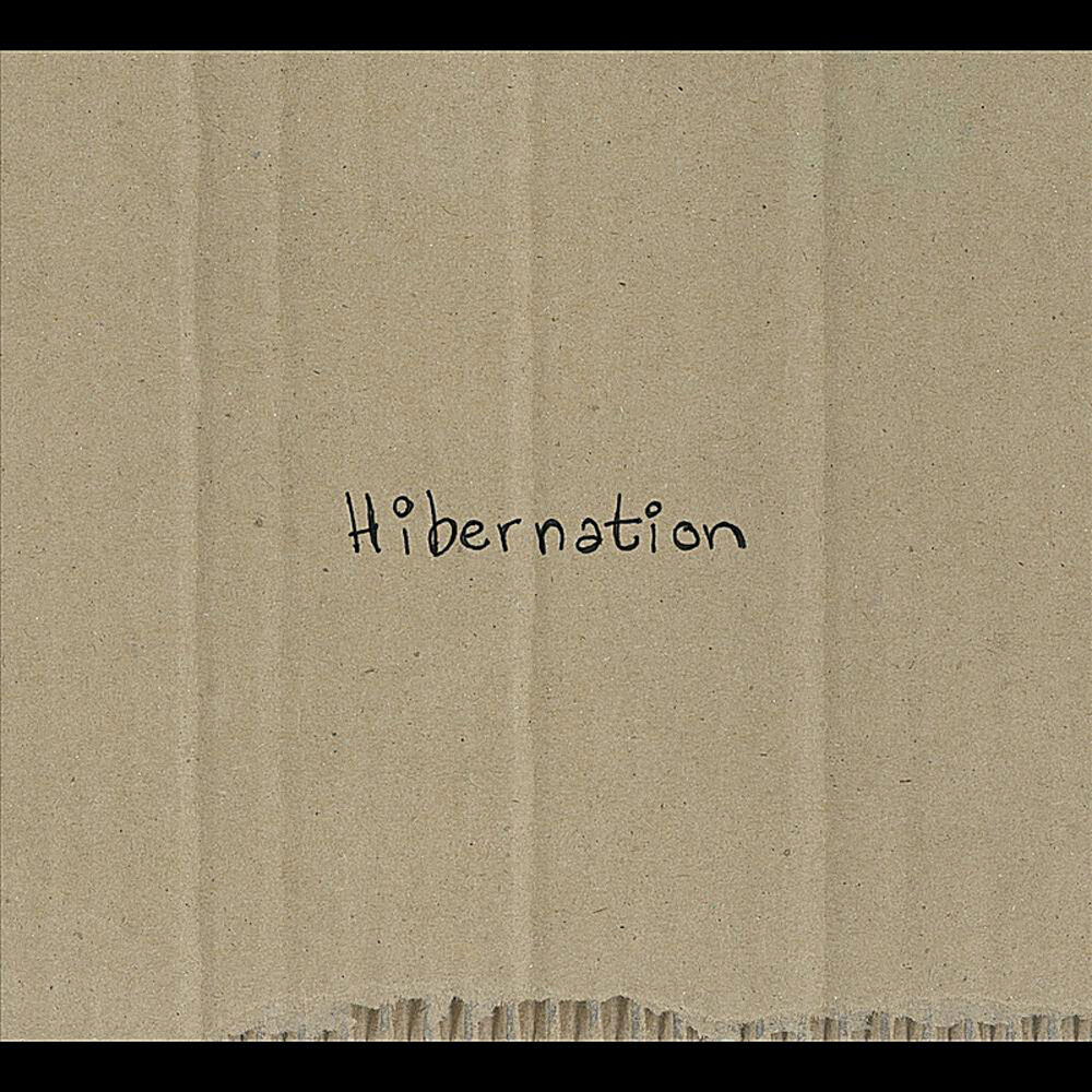 Picture of Hibernation