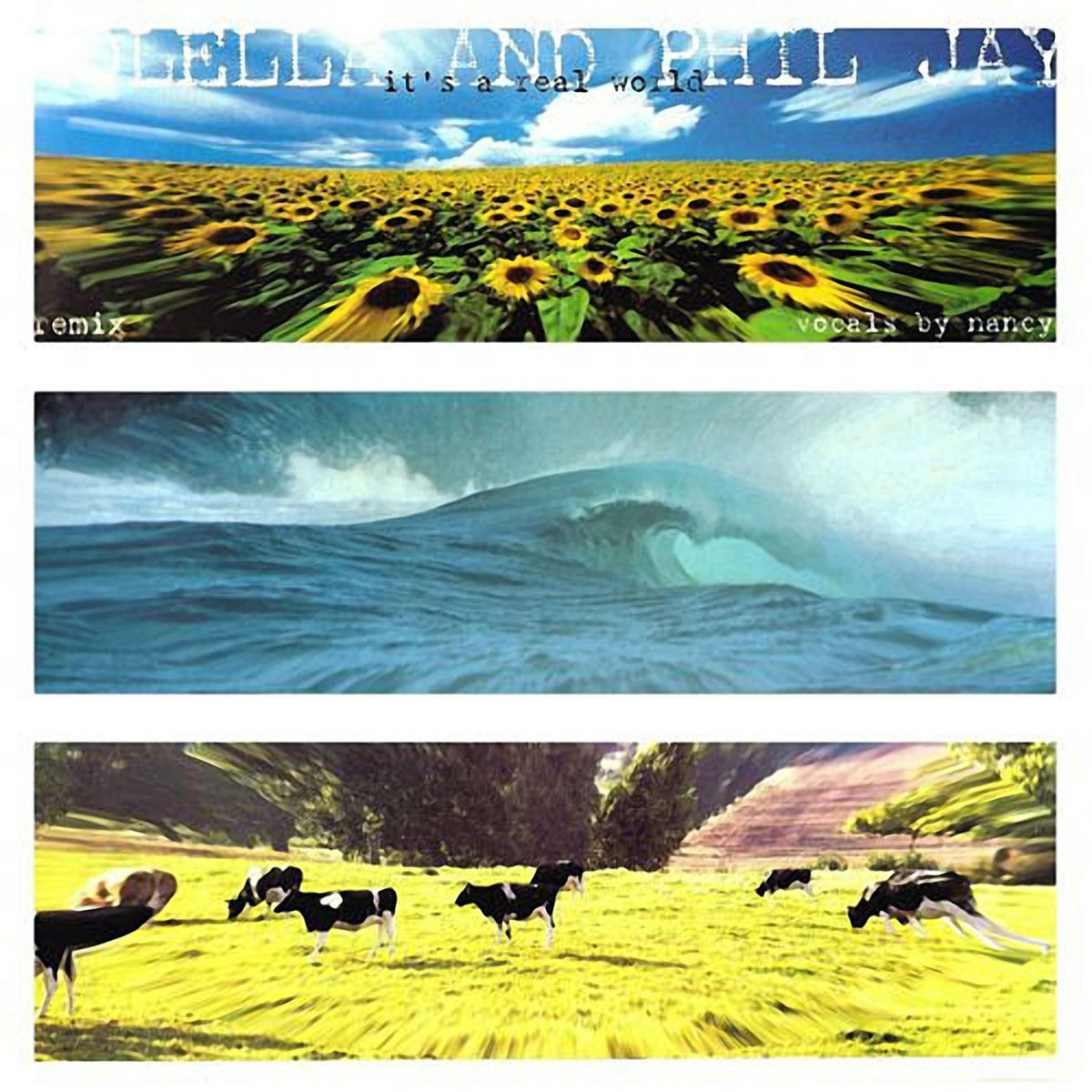 Album cover of It's a Real World (Remix)