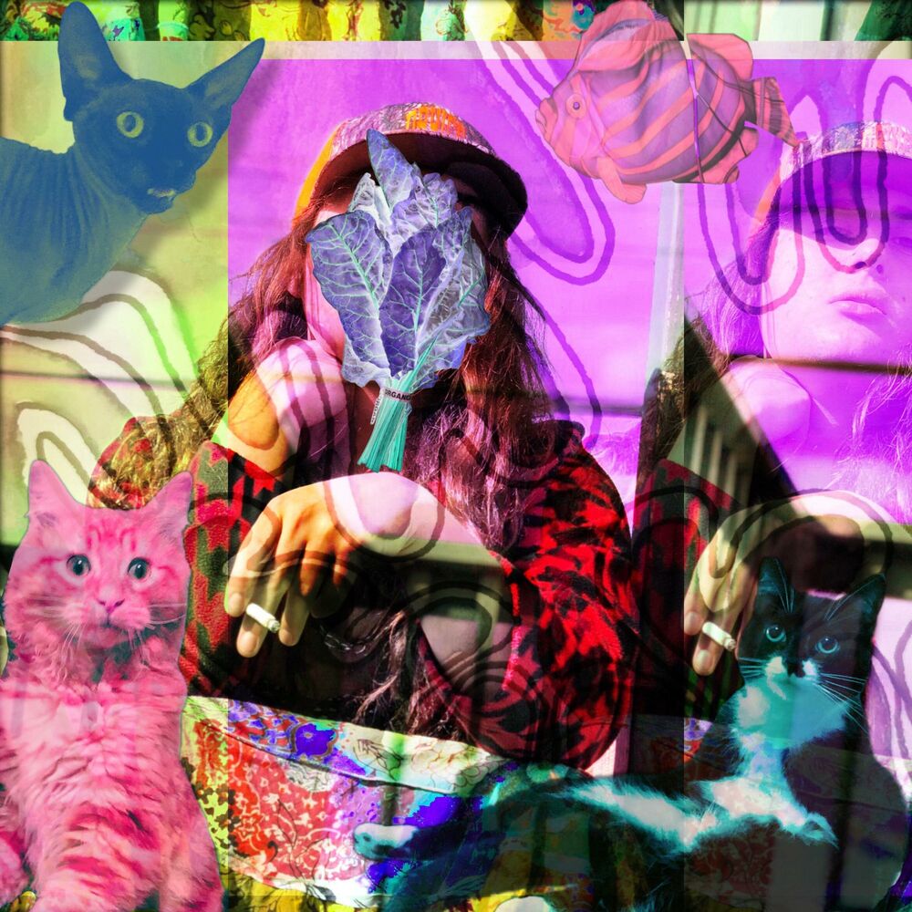 Picture of like the vegetable