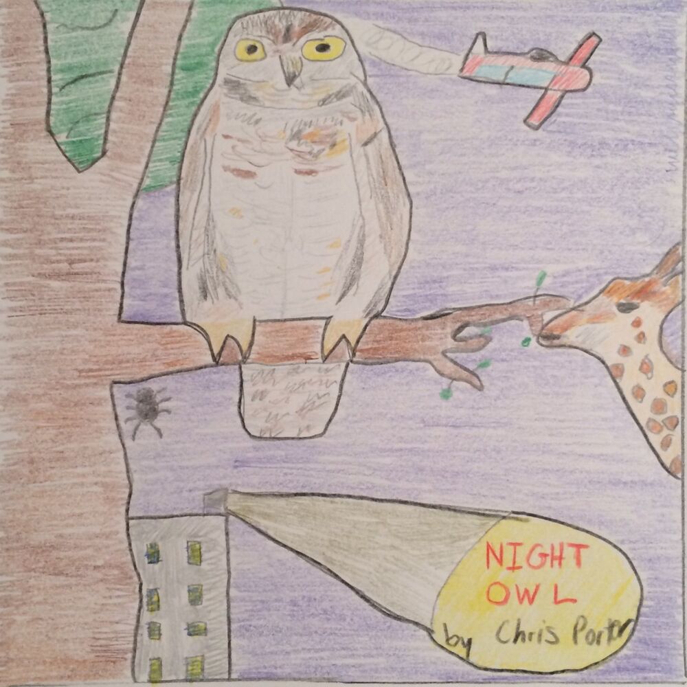 Picture of Night Owl