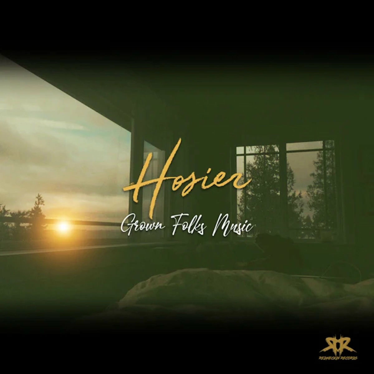 Album cover of Grown Folks Music