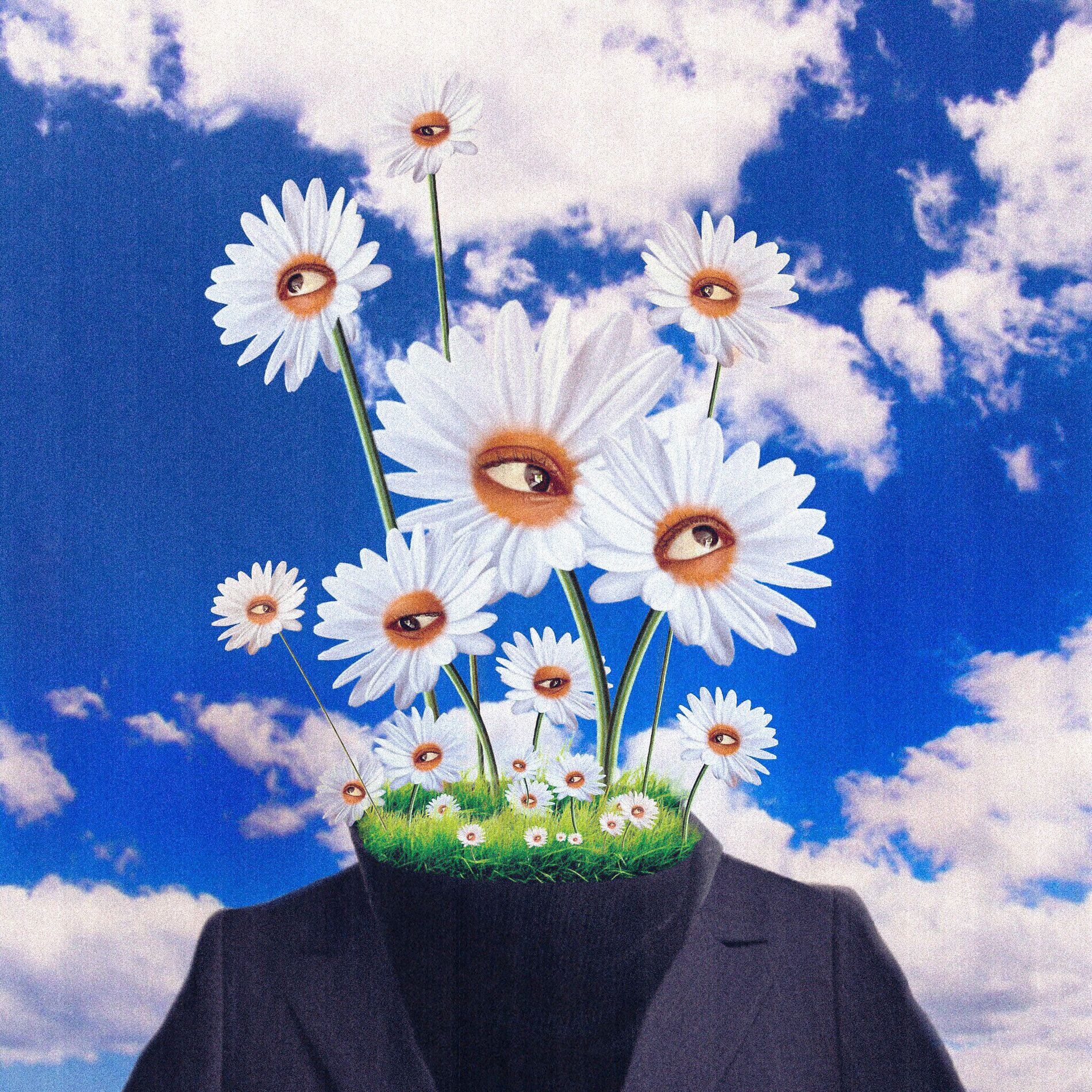 Album cover of 3x5