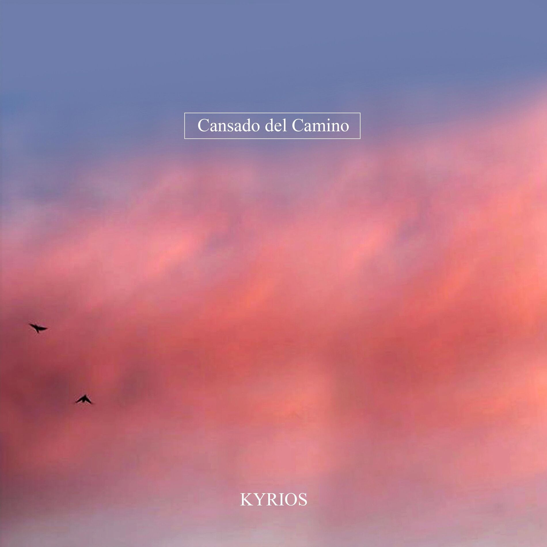 Album cover of Cansado Del Camino