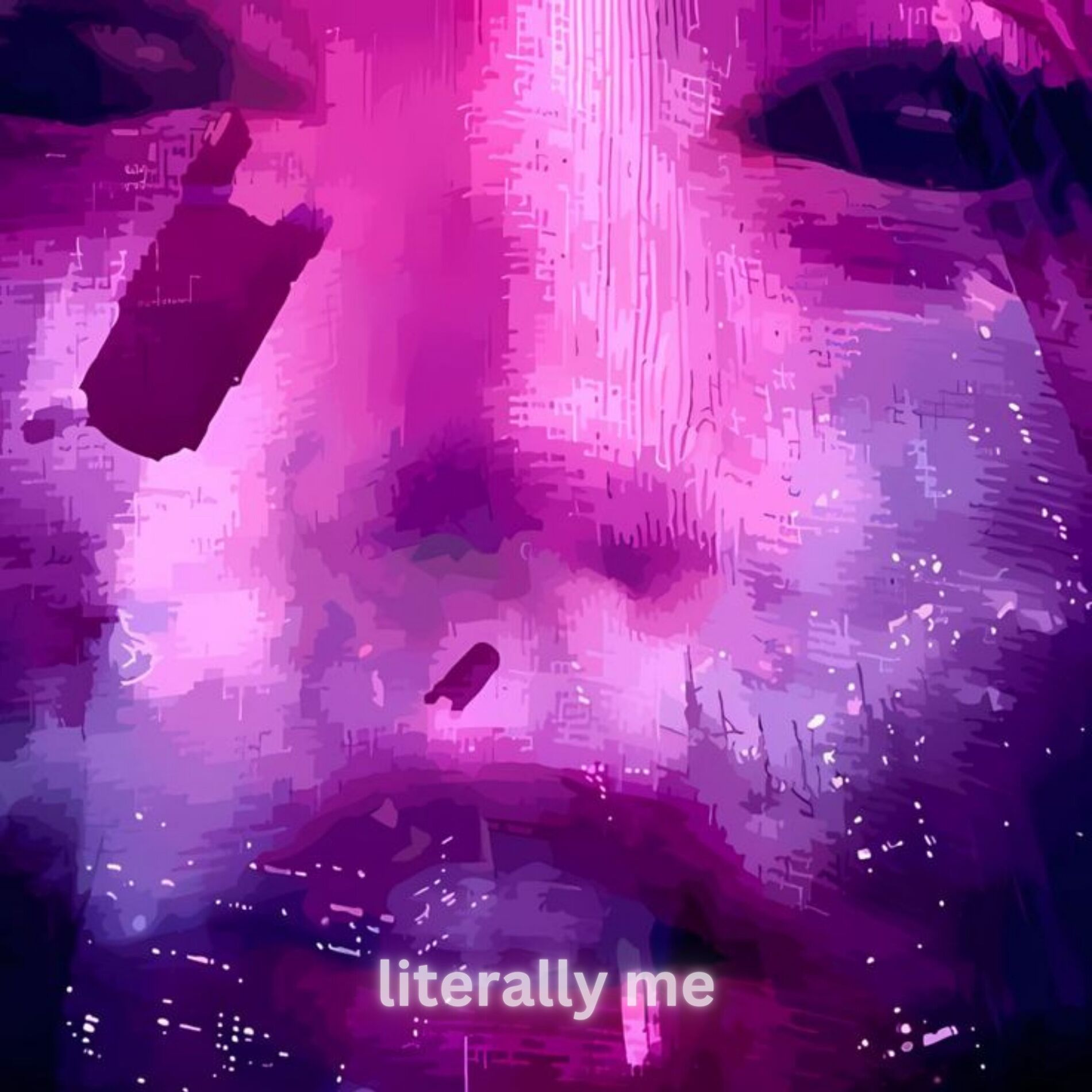 Album cover of literally me