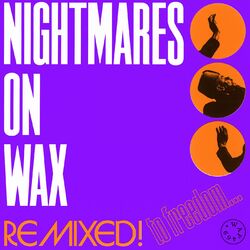 Cover of Remixed! To Freedom...