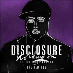 Cover of Holding On (The Remixes)
