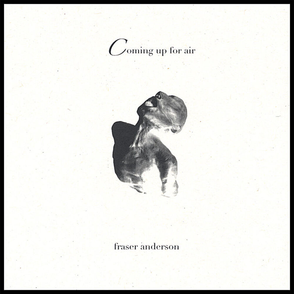 Picture of Coming up for air