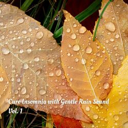 Cover of Cure Insomnia with Gentle Rain Sound Vol. 1