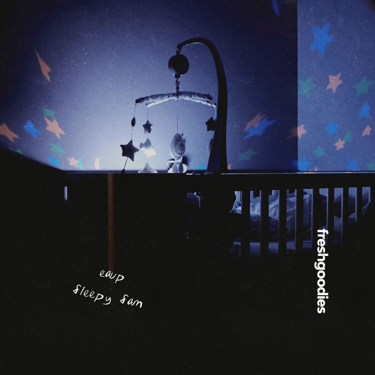 Album cover of Sleepy Sam
