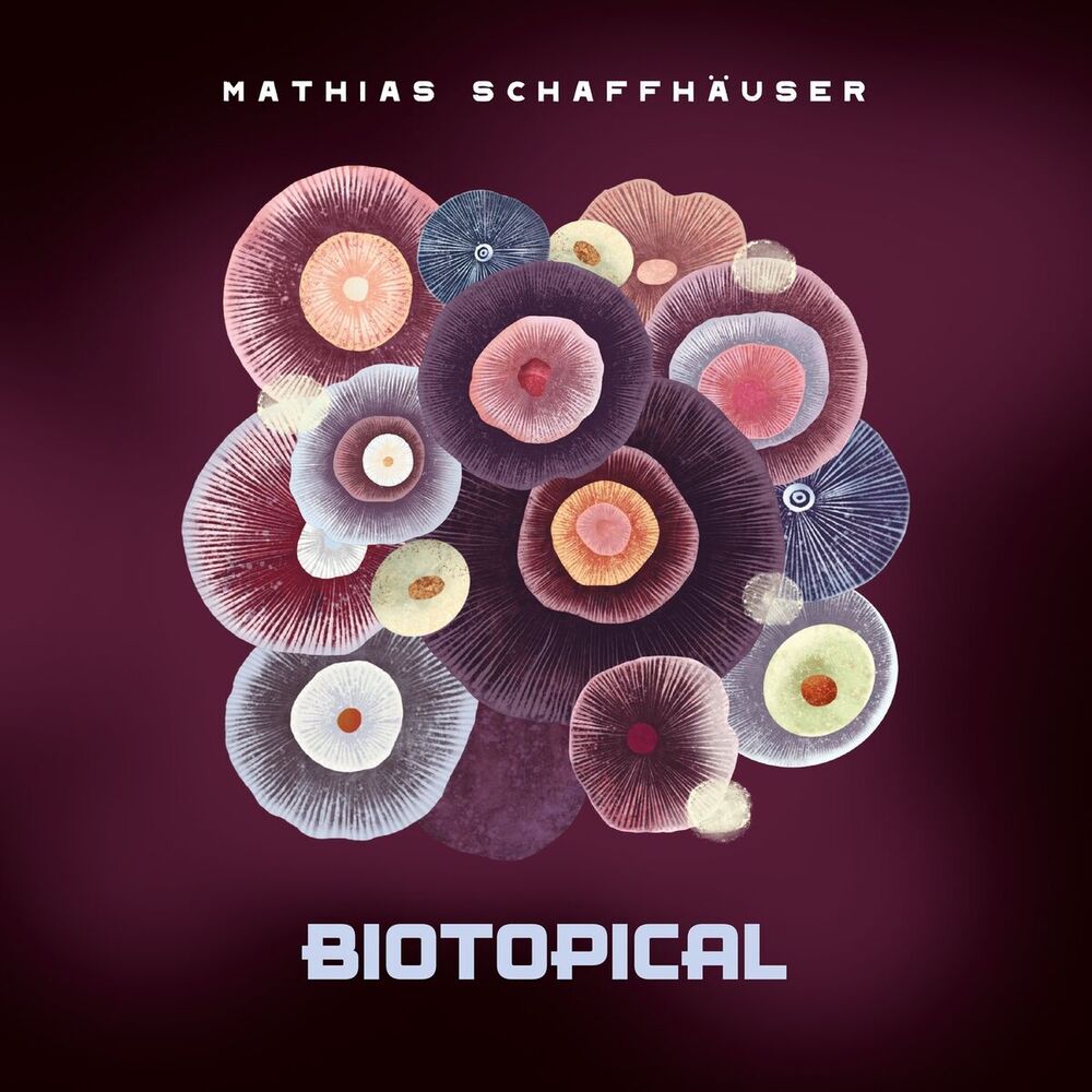 Picture of Biotopical