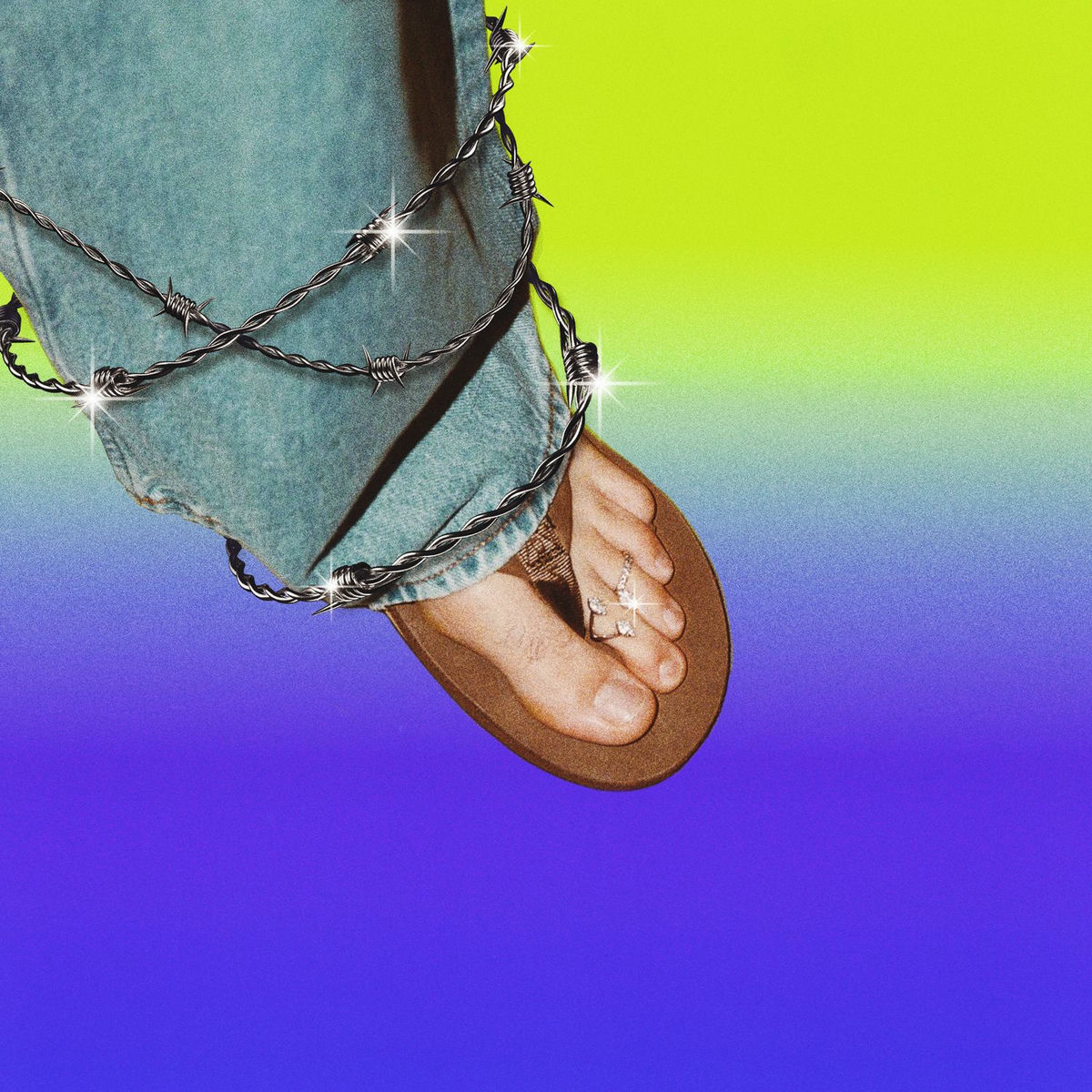 Album cover of ALAMBRE PúA