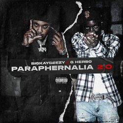 Cover of Paraphernalia 2.0