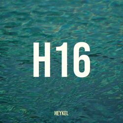 Cover of H16