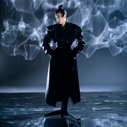 Cover of Phantom