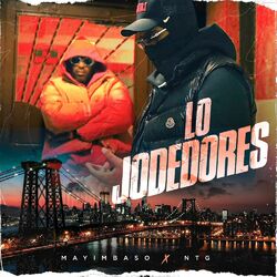Cover of Lo Jodedores