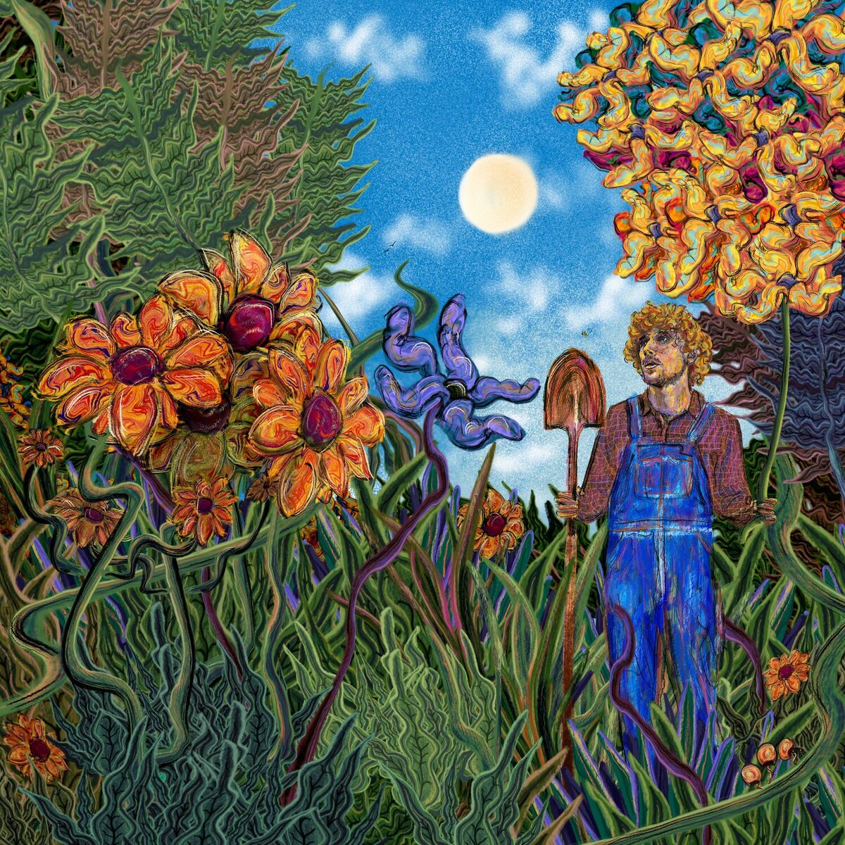 Album cover of In The Garden