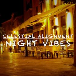 Cover of Night Vibes