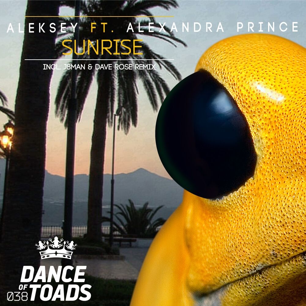 Picture of Sunrise Remixes