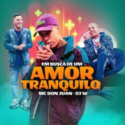 Cover of Em Busca de um Amor Tranquilo