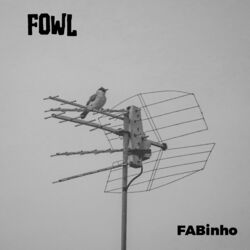 Cover of FOWL