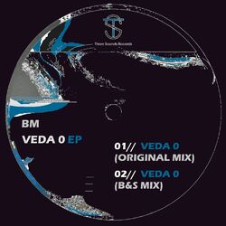 Cover of Veda 0 EP