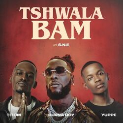 Cover of Tshwala Bam (feat. S.N.E)